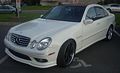 Get 2004 Mercedes E-Class PDF manuals and user guides
