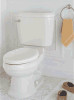 Get American Standard 3153.016.020 - 3153.016.020 Oakmont Champion Elongated Seat Less Toilet Bowl PDF manuals and user guides