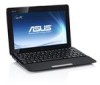 Get Asus Eee PC 1011PX PDF manuals and user guides