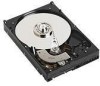 Get Dell 341-2933 - 40 GB Hard Drive PDF manuals and user guides