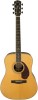 Get Fender PM-1 Deluxe Dreadnought Natural PDF manuals and user guides