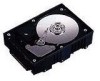 Get Fujitsu MAF3364LC - Enterprise 36.4 GB Hard Drive PDF manuals and user guides