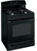 Get GE JGBP33 - Appliances 30 in. Gas Range PDF manuals and user guides
