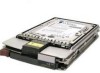 Get HP 279785-001 - 36.4 GB - 10000 Rpm PDF manuals and user guides