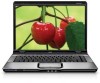 Get HP dv9000t - Pavilion - Laptop Notebook PDF manuals and user guides