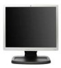 Get HP L1940 - 19inch LCD Monitor PDF manuals and user guides