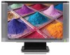 Get HP WF1907 - Compaq 19inch LCD Monitor PDF manuals and user guides