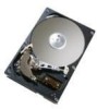 Get Hitachi 0A30755 - Deskstar 40 GB Hard Drive PDF manuals and user guides