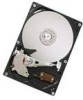 Get Hitachi 0A37043 - CinemaStar 250 GB Hard Drive PDF manuals and user guides