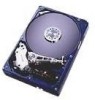 Get Hitachi IC35L030AVV207-0 - Deskstar 30 GB Hard Drive PDF manuals and user guides