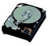 Get IBM 73H6430 - Travelstar 3 GB Hard Drive PDF manuals and user guides