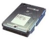 Get IBM 75H9921 - Deskstar 6.4 GB Hard Drive PDF manuals and user guides