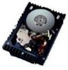 Get IBM 07N6803 - Ultrastar 36.7 GB Hard Drive PDF manuals and user guides