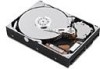Get Lenovo 41N3015 - 250GB Serial Ata Hard Disk Drive PDF manuals and user guides