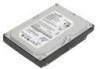 Get Lenovo 43N3411 - ThinkPad 320 GB Hard Drive PDF manuals and user guides