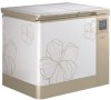 Get LG GR-192UF - Kimchi Refrigerator 190 Liter PDF manuals and user guides