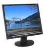 Get LG L1953S-BF - LG - 19inch LCD Monitor PDF manuals and user guides