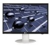 Get LG L196WTY-BF - LG - 19inch LCD Monitor PDF manuals and user guides