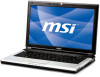 Get MSI EX460 PDF manuals and user guides