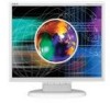 Get NEC LCD175VX - MultiSync - 17inch LCD Monitor PDF manuals and user guides