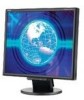 Get NEC LCD175VXBK - MultiSync - 17inch LCD Monitor PDF manuals and user guides