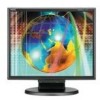 Get NEC LCD175VXM - MultiSync - 17inch LCD Monitor PDF manuals and user guides