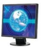 Get NEC LCD175VXM-BK - MultiSync - 17inch LCD Monitor PDF manuals and user guides