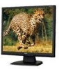 Get NEC LCD17V-BK - MultiSync - 17inch LCD Monitor PDF manuals and user guides