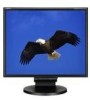 Get NEC LCD195NXM-BK - MultiSync - 19inch LCD Monitor PDF manuals and user guides