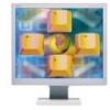 Get NEC LCD1960NXI - MultiSync - 19inch LCD Monitor PDF manuals and user guides
