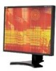 Get NEC LCD1990SXP-BK - MultiSync - 19inch LCD Monitor PDF manuals and user guides