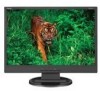 Get NEC LCD19WV - 19inch LCD Monitor PDF manuals and user guides