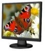 Get NEC LCD73VX - AccuSync - 17inch LCD Monitor PDF manuals and user guides