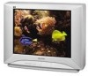 Get Panasonic CT-27SL14 - 27inch CRT TV PDF manuals and user guides