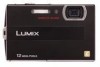 Get Panasonic DMC FP8K - Lumix Digital Camera PDF manuals and user guides
