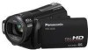 Get Panasonic HDCSD20K - Camcorder - 1080i PDF manuals and user guides