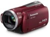 Get Panasonic HDC-TM20-R - SD & HDD Camcorder PDF manuals and user guides