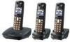 Get Panasonic KX-TG6413T - Cordless Phone - Metallic PDF manuals and user guides