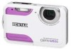 Get Pentax WS80 - Optio Digital Camera PDF manuals and user guides