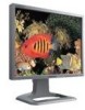 Get Samsung 214T - SyncMaster - 21.3inch LCD Monitor PDF manuals and user guides