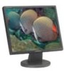 Get Samsung 940BF - SyncMaster - 19inch LCD Monitor PDF manuals and user guides