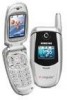 Get Samsung E317 - SGH Cell Phone PDF manuals and user guides