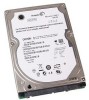 Get Seagate 9S1134-508 - Momentus 5400.3 160GB SATA/150 5400RPM 8MB 2.5inch Hard Drive PDF manuals and user guides