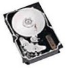Get Seagate ST136403LCV - Cheetah 36.4 GB Hard Drive PDF manuals and user guides