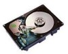 Get Seagate ST19171N - Barracuda 9.1 GB Hard Drive PDF manuals and user guides