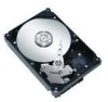 Get Seagate ST3120213AS - Barracuda 120 GB Hard Drive PDF manuals and user guides