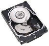 Get Seagate ST3146855LW PDF manuals and user guides