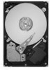 Get Seagate ST31500341AS - Barracuda 1.5 TB Hard Drive PDF manuals and user guides