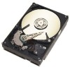 Get Seagate ST3160023A PDF manuals and user guides