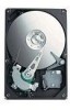 Get Seagate ST3160023A-RK - 160 GB Hard Drive PDF manuals and user guides